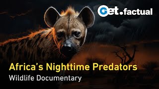 Africas Hunters of the Night  Wildlife Documentary [upl. by Etnaed333]