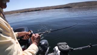 Fishing For Flaming Gorge Reservoir Kokanee amp Rainbows [upl. by Amethist]