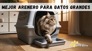 CÓMO ELEGIR EL MEJOR ARENERO PARA GATOS GRANDES 😼 TIPOS DE ARENEROS [upl. by Ashla45]