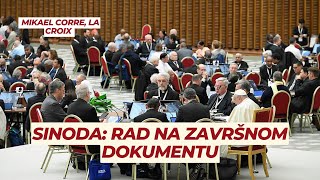 Rad na završnom dokumentu Sinode  Mikael Corre La Croix [upl. by Anirdna]