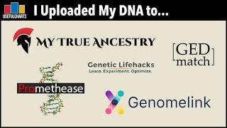 I Uploaded My DNA to Genomelink My True Ancestry GEDmatch Promethease and Genetic Lifehacks [upl. by Krik]