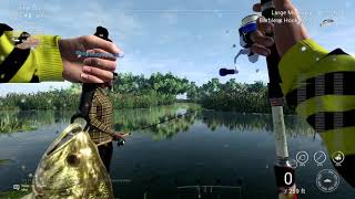 Fishing Planet  Everglades  Bass  Max Drag and XP Farm [upl. by Akenet]