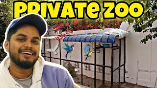 Home Aviary Shifting Video I DIY I Bird Cage I Aviaries I Exotic Birds [upl. by Aelaza198]