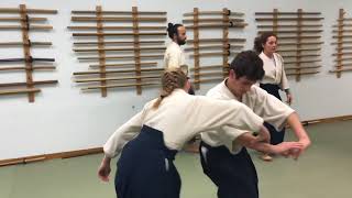 Aikido Training for Skill [upl. by Roxanne]