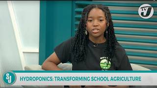 Hydroponics Transforming School Agriculture  TVJ Smile Jamaica [upl. by Godbeare]