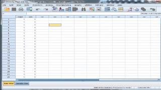 ChiSquare  PostHoc Testing  SPSS Part 1 [upl. by Eliott]