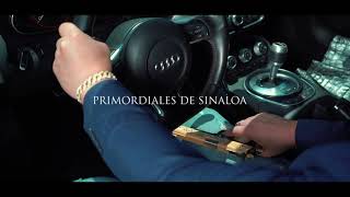 EL MANY PRIMORDIALES DE SINALOAVIDEO OFICIAL [upl. by Aihseken]