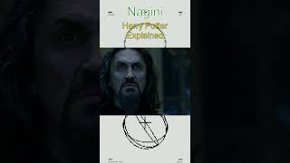 Horcrux Explained Nagini 🐍💀 [upl. by Adnalohs31]