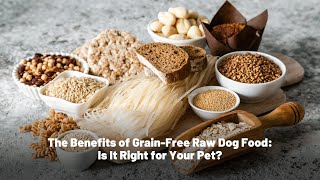 Is GrainFree Raw Dog Food the Right Choice for Your Pup 🐾 [upl. by Nadya632]