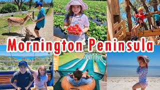 Mornington Peninsula Vic  Best Activities For Kids amp Families  Travel With Ryan amp Claire [upl. by Anilegna]