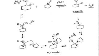 Mechanism of Enamine Formation Organic Chemistry [upl. by Fosdick]