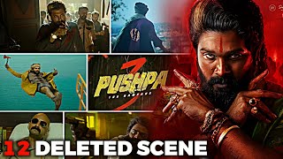 Pushpa 3  The Rampage Story Explained  Pushpa 2 The Rule Deleted Scenes [upl. by Ahsratan]