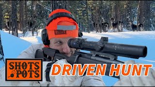 DRIVEN HUNT IN SWEDEN [upl. by Sylvan]