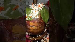 parijat ke phool ka upay shivling perShiv mahapuran ke maha upaypandit Mishra ji [upl. by Analim]