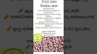 TCGS 1694 GROUNDNUT  9490592535 [upl. by Akimad824]