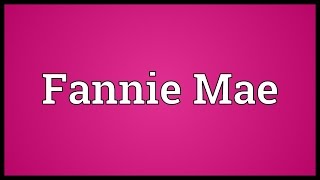 Fannie Mae Meaning [upl. by Nomad]