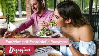 Proteolytic Enzymes The What and Why [upl. by Edmunda]