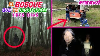 🌳🌗Una Noche Atrapadas en el BOSQUE ENCANTADO ¡Pusimos Pistas Para Escapar  TERROR MERLIN [upl. by Ahsemrak]