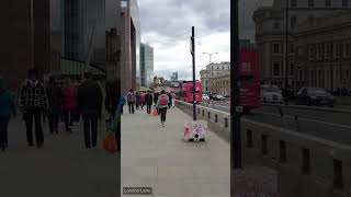 2024 London Marathon Near Monument London England Shorts 49 [upl. by Zaob989]