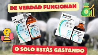 CATOSAL Y VIGANTOL ¿FUNCIONAN Vitaminas para el ganado [upl. by Ylrebme780]