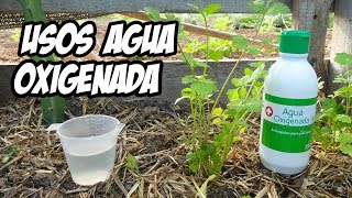 7 Usos Brillantes del AGUA OXIGENADA en el Huerto o Jardín  La Huerta de Ivan [upl. by Lim]