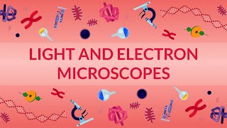 WHAT ARE LIGHT AND ELECTRON MICROSCOPES  HOW DO THEY WORK [upl. by Zeuqcaj577]