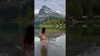 📍Lake O Hara in Yoho National Park in Canada 🇨🇦 shorts yohonationalpark canada banffcanada [upl. by Tybald]