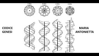 I cloni ospitano gli originali Esperimenti di ibridazione con dna umano Maria Antonietta 241024 [upl. by Wernick]