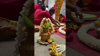 Glowing lamps and colorful flower petals in Devis abode [upl. by Dulcy]