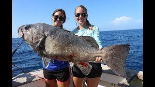 Catching the Ugliest Fish from the DEEP West End Bahamas Fishing Freediving and Spearfishing [upl. by Llecram172]