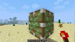 Bug Sinistro Minecraft 124 [upl. by Mata639]