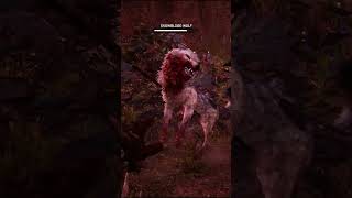 Snow Blood Wolf Hunt in Far Cry Primal [upl. by Bijan]