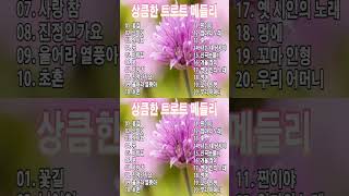 상큼한 트로트 메들리  트로트 신곡 메들리  PLAYLIST🌺 꽃길상사화여인의 눈물회룡포바람길🌺 [upl. by Child]