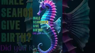 quotMale Seahorses Give Birthquotmarinelifewonders didyouknowfacts mindblowingfacts [upl. by Bolan747]