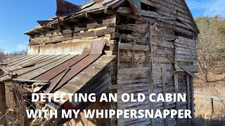 Metal Detecting an old cabin with my Whippersnapper [upl. by Akiehsat]