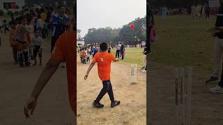 Hit the Wicket sports games [upl. by Daniala32]