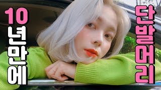 저 10년만에 단발했어요💇‍♀️  은발은 덤  HEYNEE [upl. by Shetrit]