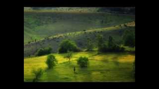 Selo gori a baba se ceslja Soundtrack Dragan Ilic [upl. by Irv546]