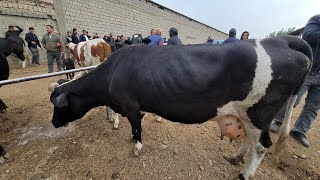 13102024YIL SAMARQAND JUMA MOL BOZORI ONA BOLA SIGIRLAR ARZON BULDI [upl. by Irrol771]