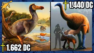 AVES GIGANTES extintas por HUMANOS [upl. by Sibyls663]