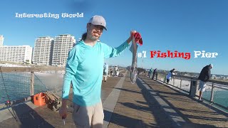 1 Fishing Pier Spanish Mackerel fishing pierfishing underwater [upl. by Aramoy]