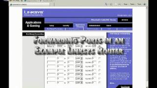 Example Linksys Port Forwarding for Alnet DVR Cards and NVR Software [upl. by Ainos]