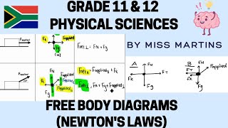 Newtons Laws Grade 11 amp 12 Free body diagrams [upl. by Hanonew]