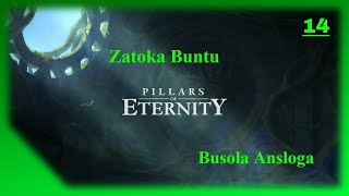 Pillars of Eternity PL cz 14 Zatoka Buntu Busola Ansloga [upl. by Hadihsar]