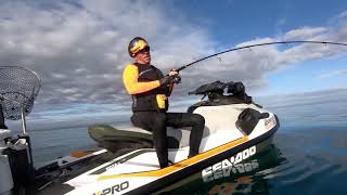 Catching fish on the new SeaDoo FISH PRO [upl. by Ahsel]