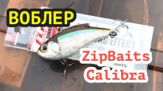 Обзор воблера ZipBaits Calibra хитрости применения [upl. by Niwrehs]