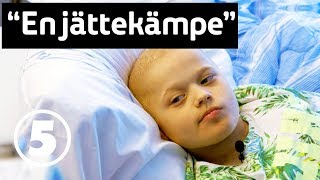 Viggo 10 år behandlas för skelettcancer  Barncancergalan  Det svenska humorpriset 2018 [upl. by Solokin]