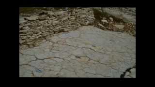 Dinosaurs footprints from Plagnewmv [upl. by Aklam]