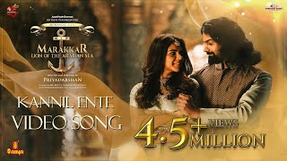 Kannil Ente Video Song  Vineeth Sreenivasan  Swetha Mohan  Pranav Mohanlal  Kalyani Priyadarshan [upl. by Jarita898]