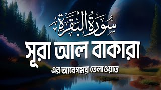 Surah Baqarah سورة البقرة  সূরা আল বাকারা। Best Emotional Quran Tilawat  Sheikh Masud [upl. by Caron]